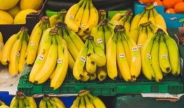 大香蕉之国产,大香蕉之国的繁荣与传奇