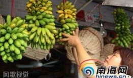 大香蕉之国产,大香蕉之国的繁荣与传奇