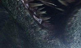 国产超清,打造全新观影体验