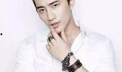 国产男男,新时代影视界的璀璨明珠