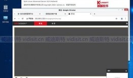 国产视频在线网站